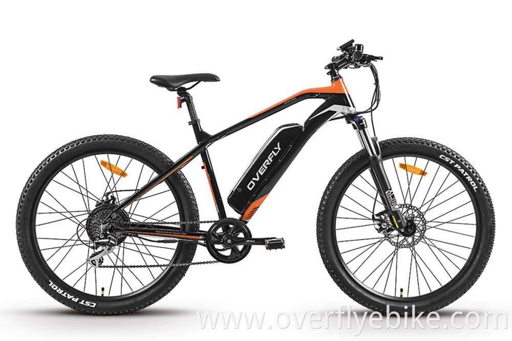 mountain electric bikes